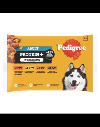 PEDIGREE Adult Protein+ plicuri in jeleu 4x85 g hrana caini, 4 arome