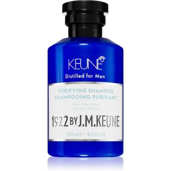 Keune 1922 Purifying Shampoo șampon de păr anti matreata 250 ml