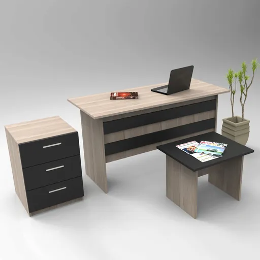 Set mobilier de birou, Hanah Home, Vo9-Ob, Stejar / Negru