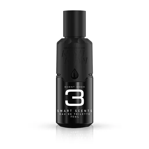 Apa de Parfum - NISH MAN 3 - 75 ml