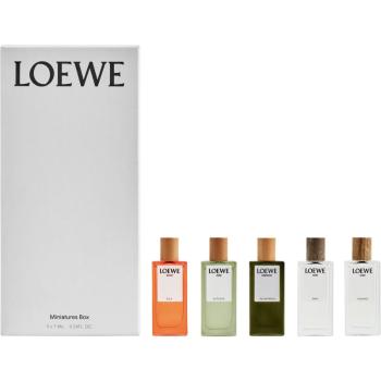 Loewe Miniature Set set cadou unisex