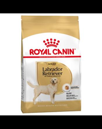 ROYAL CANIN Hrana uscata pentru cainii adulti de rasa Labrador retriever 24 kg (2 x 12 kg)