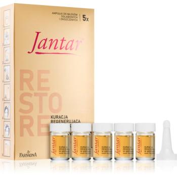 Farmona Jantar Amber Essence tratament pentru regenerarea părului deteriorat 5x5 ml