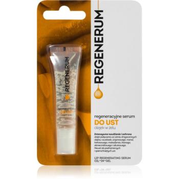 Regenerum Lip Care ser pentru buze, cu efect de netezire efect regenerator 7 g