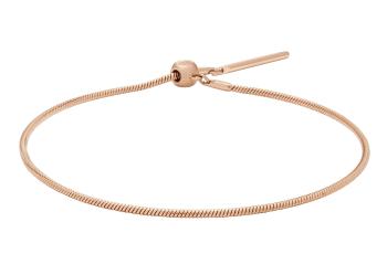 Daniel Wellington Brățară placată cu aur pentru pandantive, model Șarpe Charms DW00400394