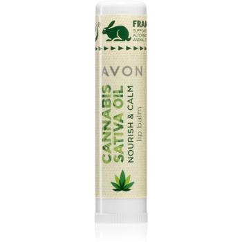 Avon Cannabis Sativa Oil Nourish & Calm balsam de buze cu ulei de canepa 4,5 g