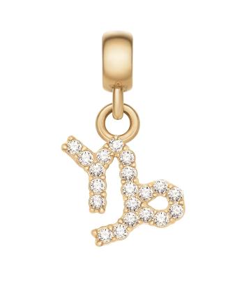 Daniel Wellington Pandantiv placat cu aur cu cristale zodia Capricorn Crystal Zodiac DW00400763