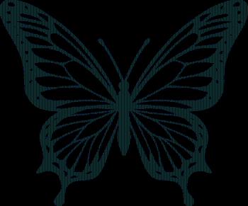 Vsepropejska Motýl dekorace na zeď 4 Rozměr (cm): 38 x 31, Dekor: Černá