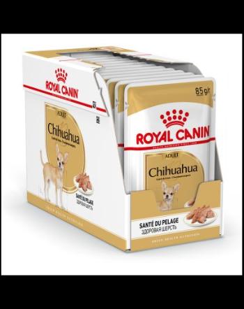 ROYAL CANIN Chihuahua Adult 4x12x85g hrană umedă special pentru câini Chihuahua adulți