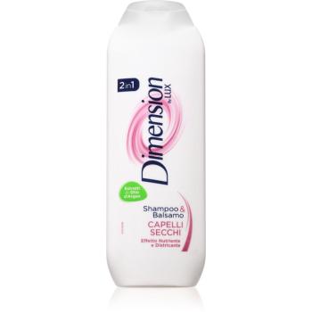 Dimension by Lux 2in1 sampon si balsam 2 in 1 pentru par uscat 250 ml