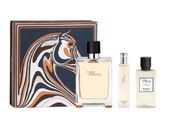 Hermes Terre D` Hermes - EDT 100 ml + voda po holení 40 ml + EDT 15 ml