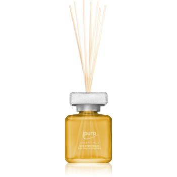 ipuro Essentials Ginger Treasure difuzor de aroma 100 ml