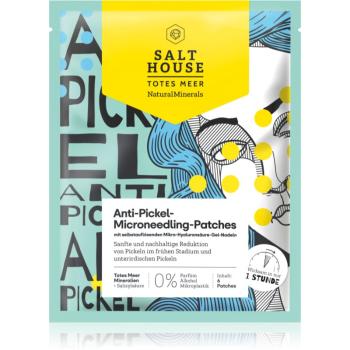 Salt House Natural Minerals Microneedling Anti-pimple Patches plasturi pentru piele problematică impotriva acneei 6 buc