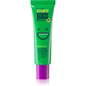 Pure Paw Paw Watermelon Balsam pentru buze crapate si pielea uscata 15 g