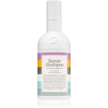 Waterclouds Repair Shampoo șampon de îngrijire delicată 250 ml