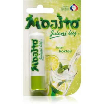 Regina Mojito balsam de buze aroma Mojito 4.5 g