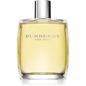 Burberry Burberry for Men Eau de Toilette pentru bărbați 100 ml