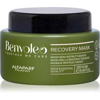 Alfaparf Milano Benvoleo Recovery Masca regeneratoare pentru par deteriorat 250 ml