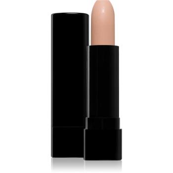 Regina OLD LOVE 1954 corector cremos stick culoare 03 Honey 3.5 g
