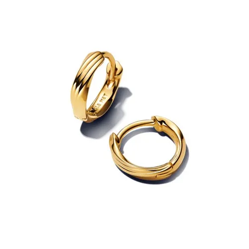 Pandora Cercei rotunzi mici răsuciți Essence Shine 263871C00