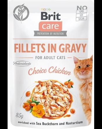 BRIT Care Fillets in gravy Hrana umeda pentru pisici adulte, pui in sos 24 x 85 g