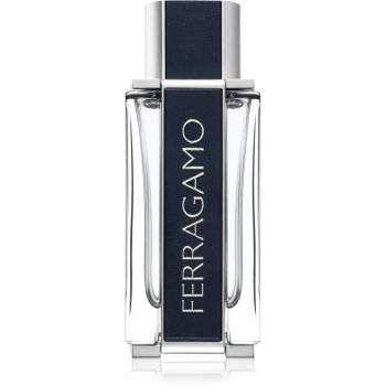 Ferragamo Ferragamo Eau de Toilette pentru bărbați 100 ml