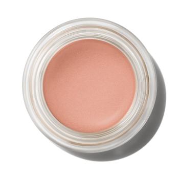 MAC Cosmetics Farduri de ochi cremoase (Pro Longwear Paint Pot) 5 g Layin' Low