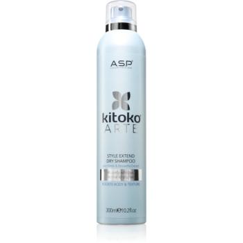 ASP kitoko Arte Extend Dry Shampoo șampon uscat 300 ml