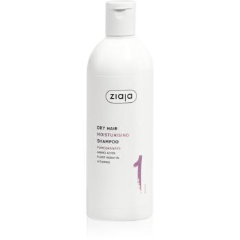 Ziaja Plant Essentials Pomegranate sampon hidratant pentru par uscat 400 ml