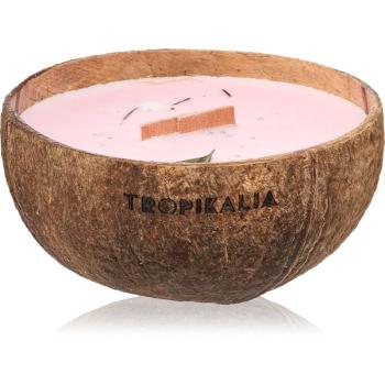 Tropicandle Frozen Cranberry lumânare parfumată cu fitil din lemn 350 ml