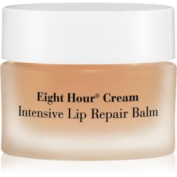 Elizabeth Arden Eight Hour balsam intens pentru buze 10 g