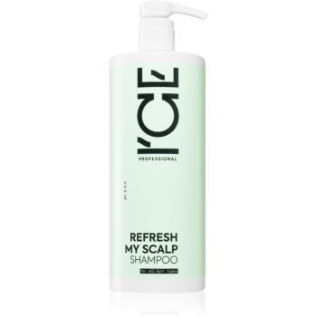 Natura Siberica ICE Professional Refresh My Scalp șampon detoxifiant pentru curățare 1000 ml