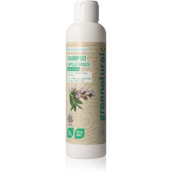 Greenatural Shampoo Sage & Nettle șampon pentru păr gras 250 ml