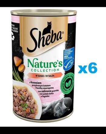 SHEBA pachet conserve 6 x 400 g Nature's Collection somon garnisit cu yam si fasole verde in sos