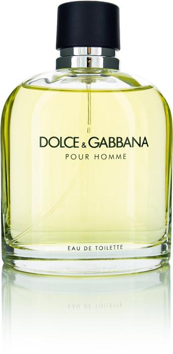 Eau de Toilette DOLCE & GABBANA Pour Homme EdT 125 ml