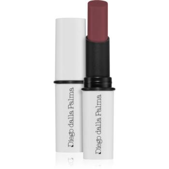 Diego dalla Palma Semitransparent Shiny Lipstick ruj lucios hidratant culoare Mauve 2,5 ml