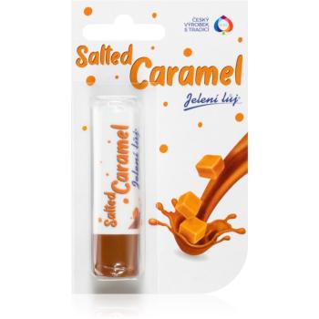 Regina Salted Caramel balsam de buze 4,5 g