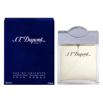 S.T. Dupont S.T. Dupont for Men Eau de Toilette pentru bărbați 100 ml