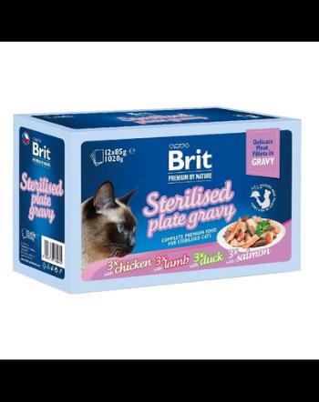 BRIT Premium by Nature Cat Delicate Fillets in Gravy Family Plate Sterilised 12x85g hrana in sos pisici sterilizate