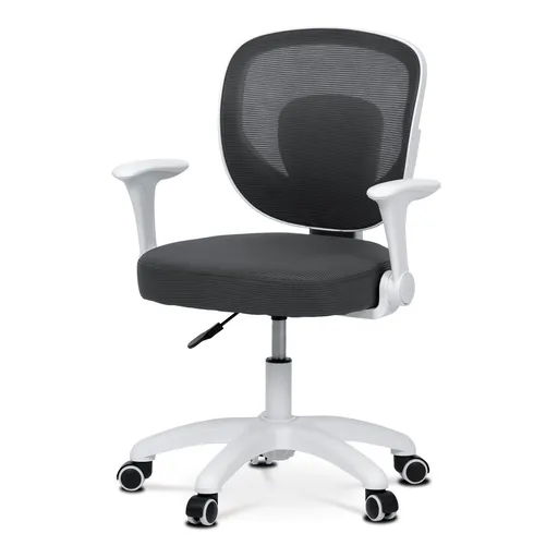 Scaun de birou Autronic KA-K1062 GREY , gri, gri