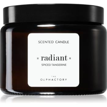 Ambientair The Olphactory Spiced Tangerine lumânare parfumată Radiant 360 g