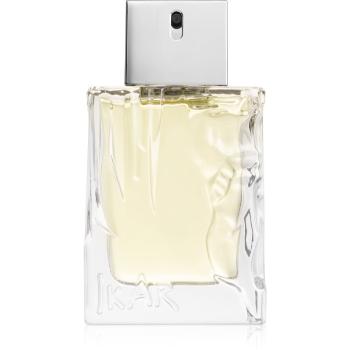 Sisley Eau D’Ikar Eau de Toilette pentru bărbați 50 ml