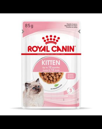 Royal Canin Kitten Instinctive In Gravy hrana umeda in sos pentru pisica, 12 x 85 g