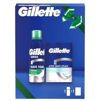 Gillette Set cosmetic Series