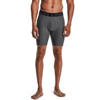 Under Armour UA HG Armour Shorts-GRY - XS
