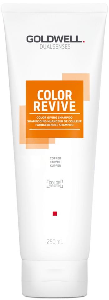 Goldwell Șampon pentru revigorarea culorii părului Copper Dualsenses Color Revive (Color Giving Shampoo) 250 ml