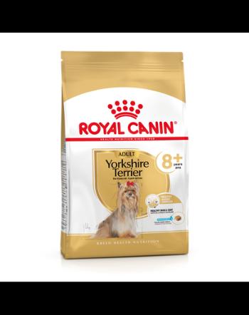 ROYAL CANIN Yorkshire Terrier Adult 8+ hrana uscata caine senior, 3 kg