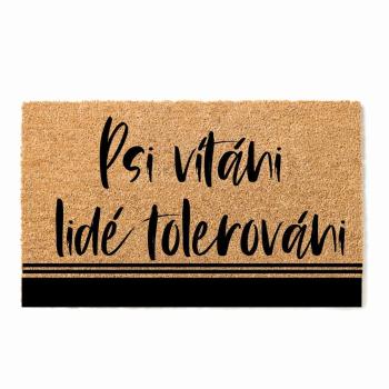 Bohemia Gifts Doormat - Dogs welcome, 40 x 60 cm