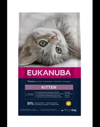 EUKANUBA Cat Kitten All Breeds Healthy Start Chicken &amp; Liver Hrana uscata pentru pisici junior, cu pui si ficat 10 kg