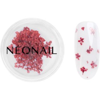 NEONAIL Dried Flowers flori uscate pentru unghii culoare 08 Red 1 buc